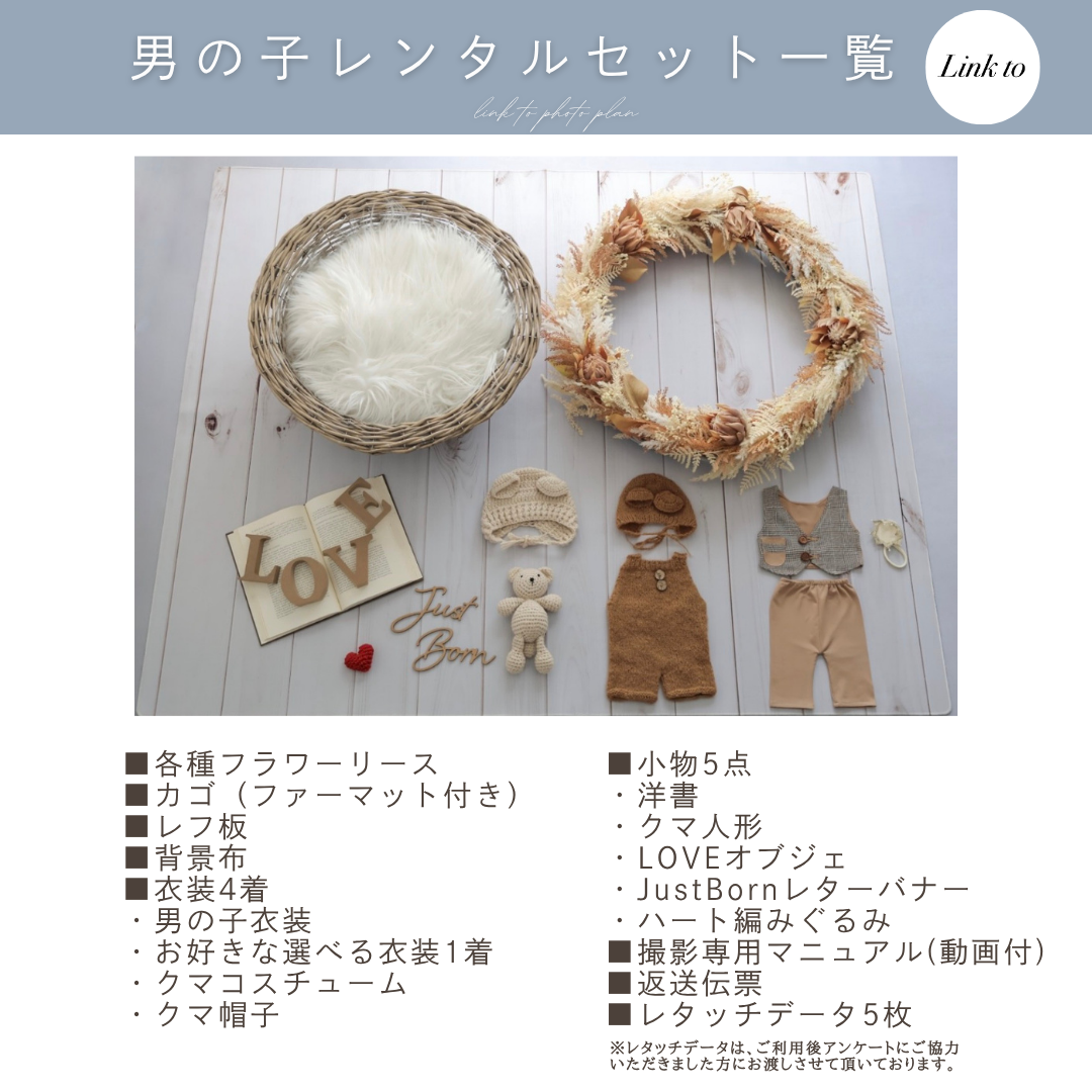 Proteaフラワーリースセット