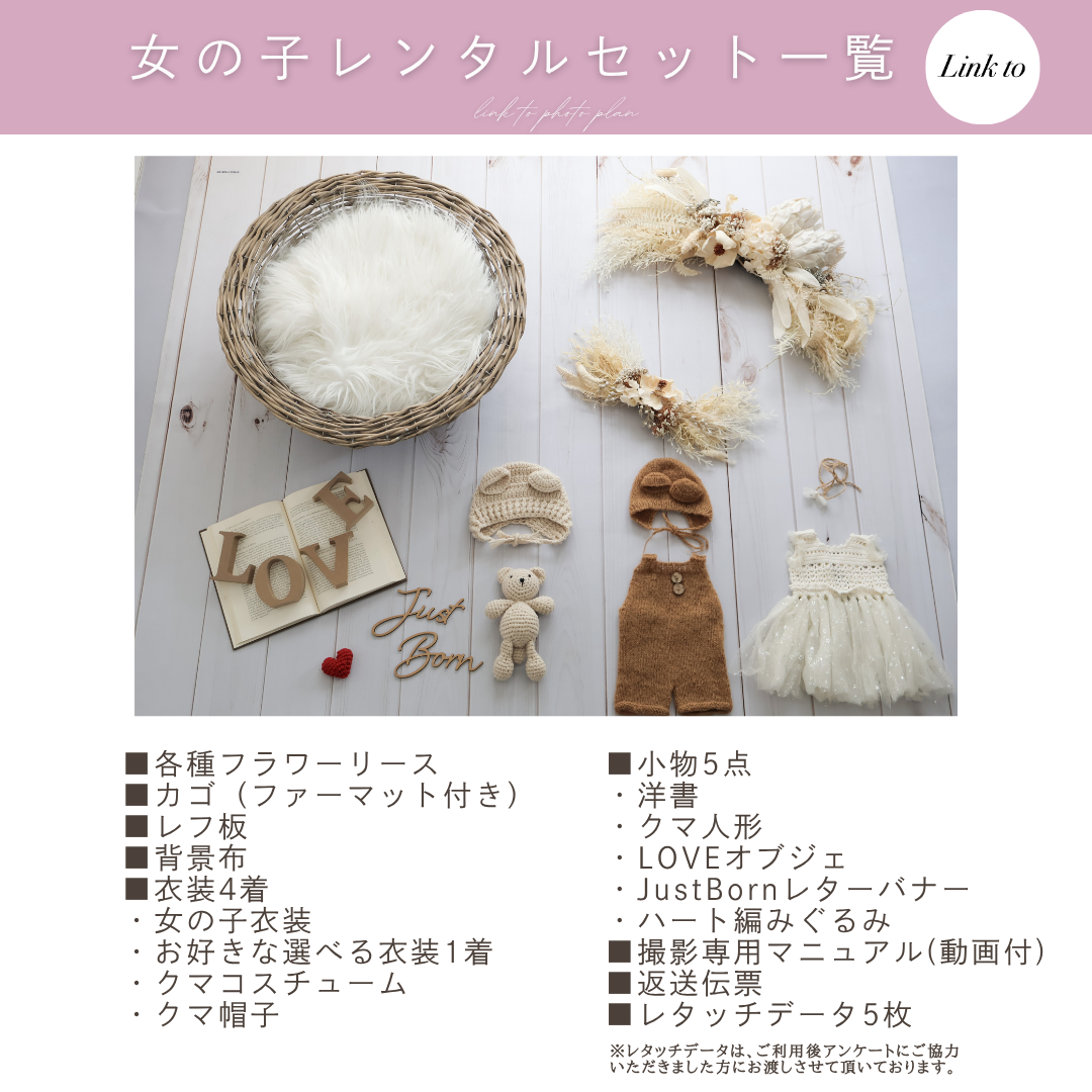 White Protea with Palm flowerスワッグリースセット