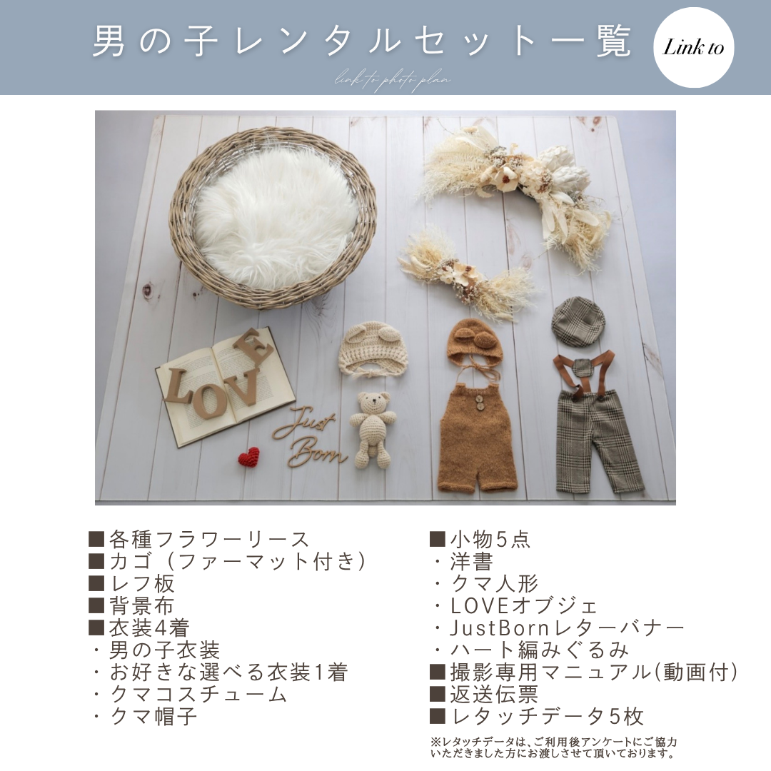 White Protea with Palm flowerスワッグリースセット
